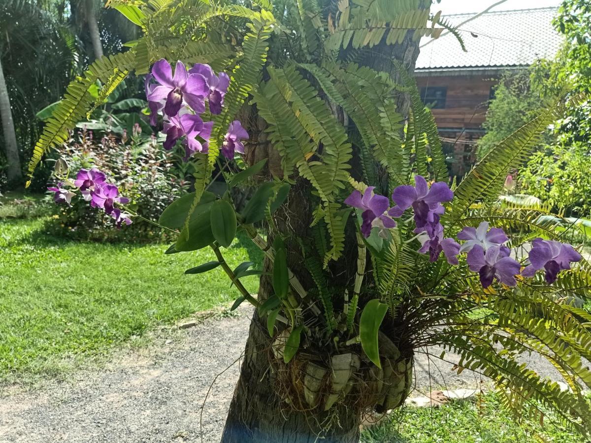 Nary Garden Ξενοδοχείο Kampot Εξωτερικό φωτογραφία