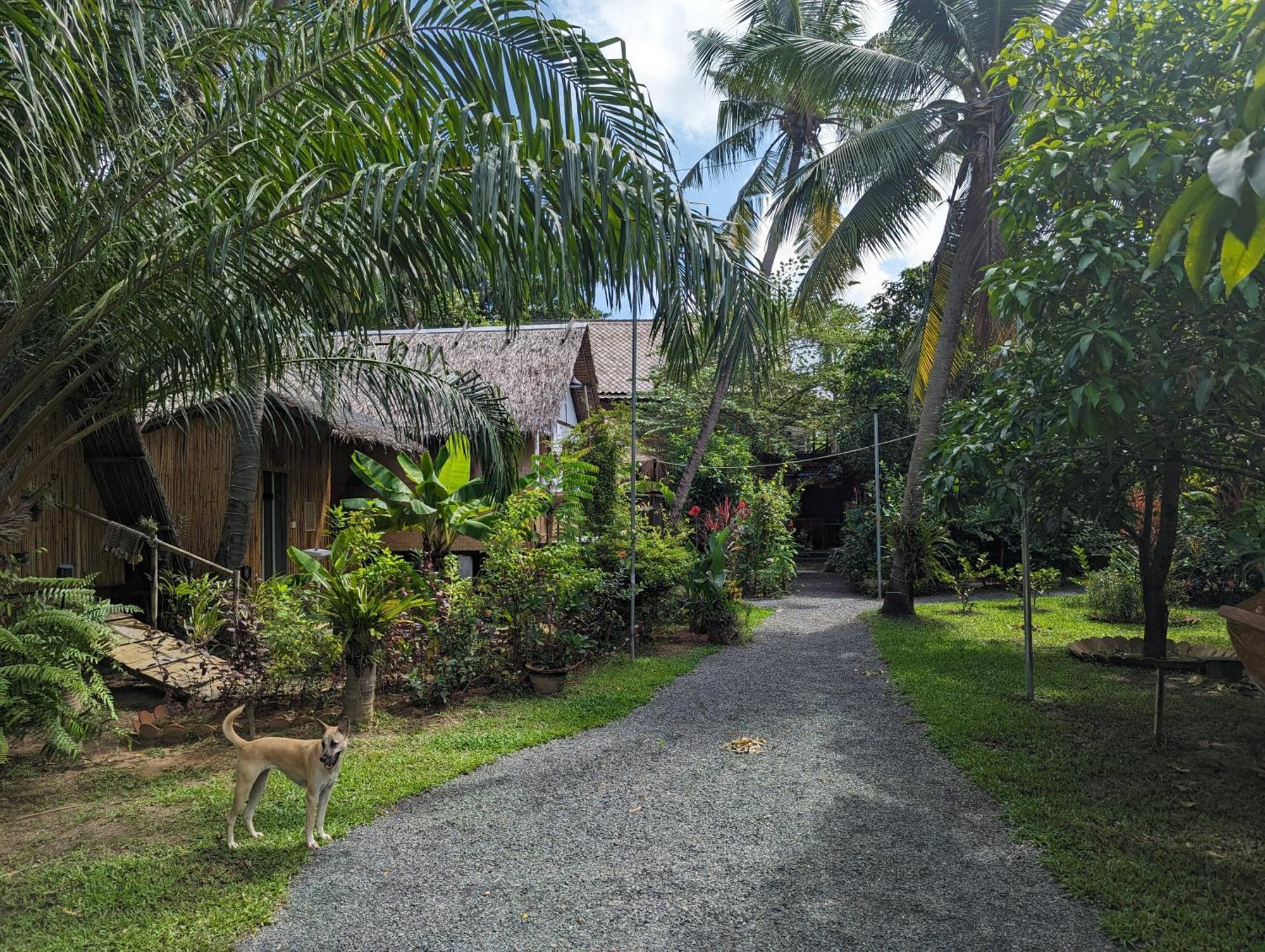 Nary Garden Ξενοδοχείο Kampot Εξωτερικό φωτογραφία